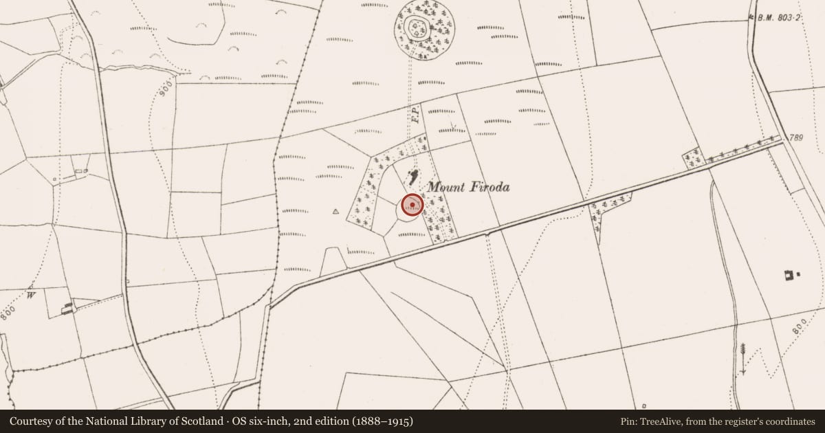 Ordnance Survey six-inch map, 2nd edition (1888–1915) covering the location of Designed landscape feature, Firoda Upper, County Kilkenny, with a pin at the register's coordinates