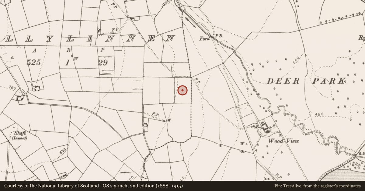 Ordnance Survey six-inch map, 2nd edition (1888–1915) covering the location of Fulacht fia, Ballylinnen, County Kilkenny, with a pin at the register's coordinates