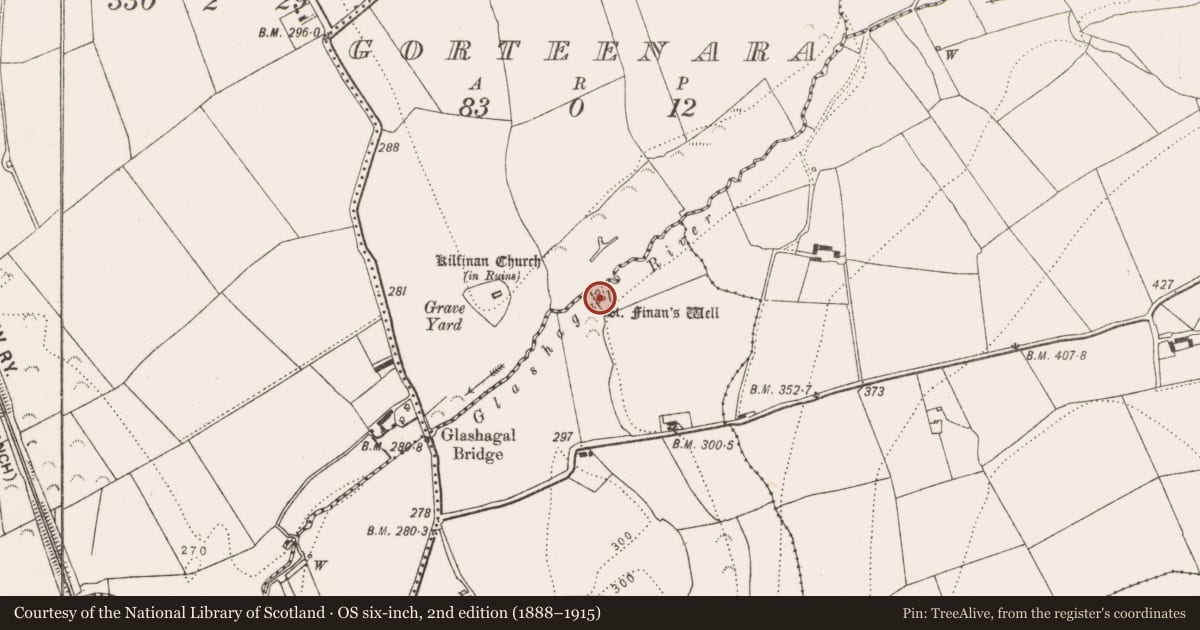 Ordnance Survey six-inch map, 2nd edition (1888–1915) covering the location of Ritual site - holy well, Tinnalintan, County Kilkenny, with a pin at the register's coordinates