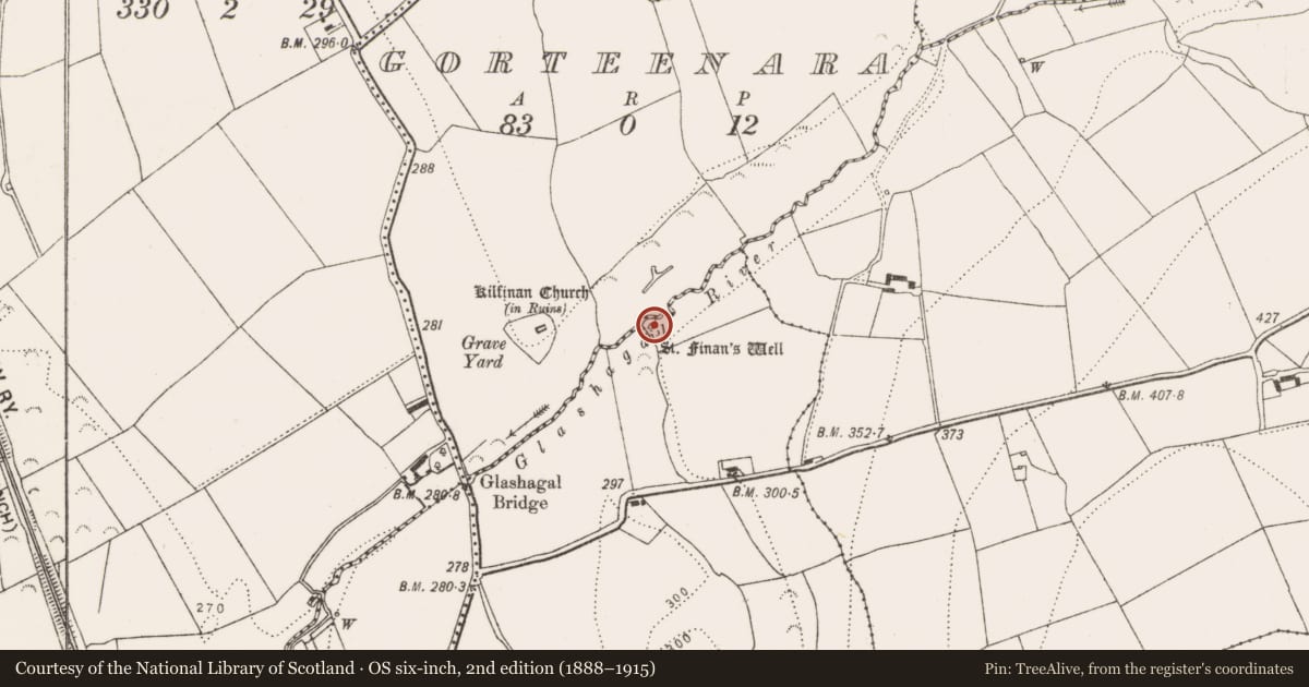 Ordnance Survey six-inch map, 2nd edition (1888–1915) covering the location of Enclosure, Tinnalintan, County Kilkenny, with a pin at the register's coordinates