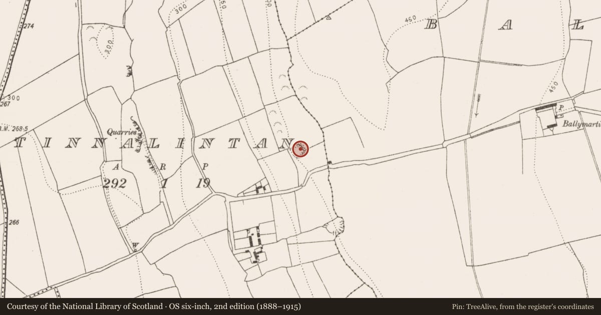 Ordnance Survey six-inch map, 2nd edition (1888–1915) covering the location of Ringfort - rath, Tinnalintan, County Kilkenny, with a pin at the register's coordinates
