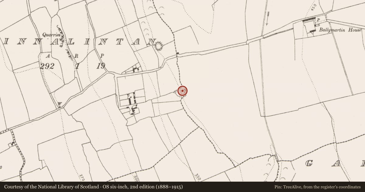 Ordnance Survey six-inch map, 2nd edition (1888–1915) covering the location of Ringfort - rath, Tinnalintan, County Kilkenny, with a pin at the register's coordinates