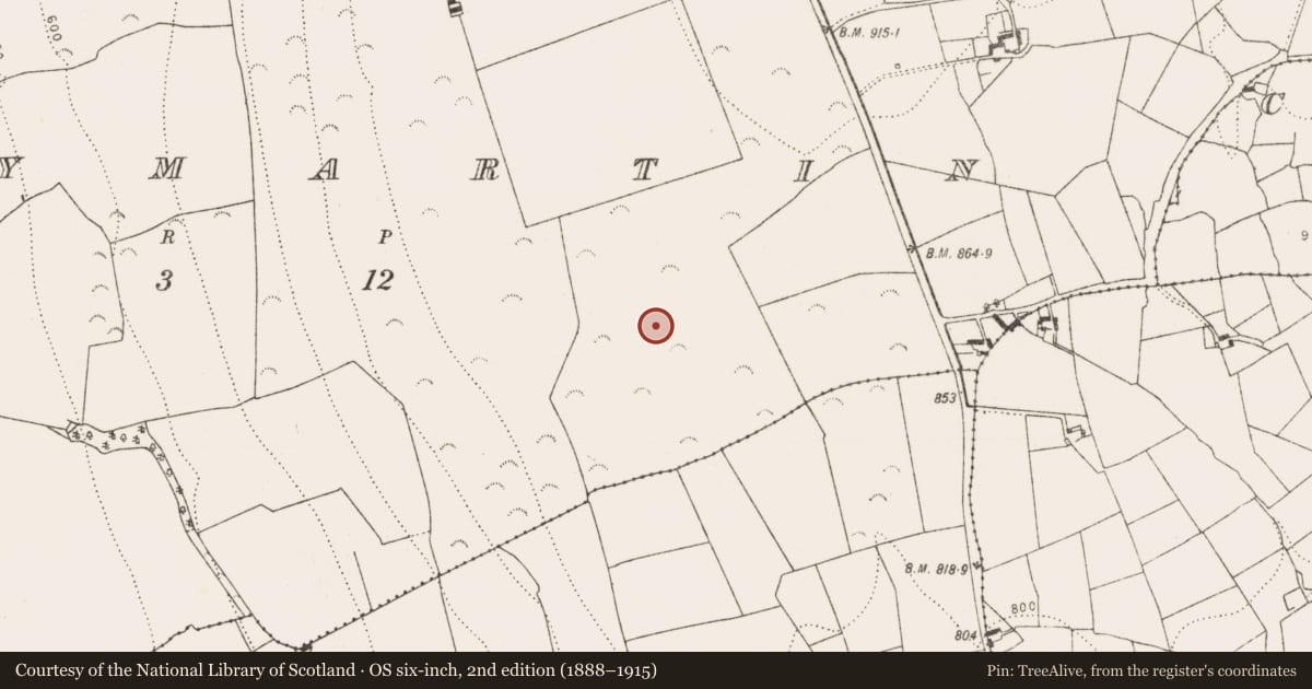 Ordnance Survey six-inch map, 2nd edition (1888–1915) covering the location of Enclosure, Ballymartin, County Kilkenny, with a pin at the register's coordinates