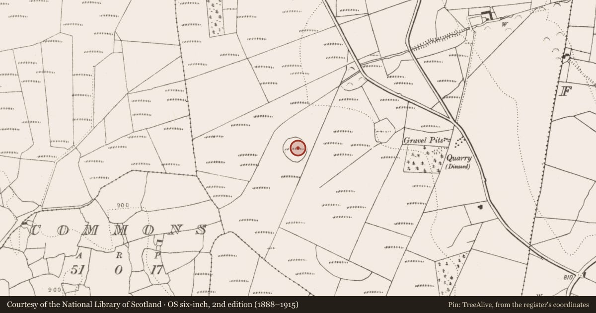Ordnance Survey six-inch map, 2nd edition (1888–1915) covering the location of Enclosure, Firoda Upper, County Kilkenny, with a pin at the register's coordinates