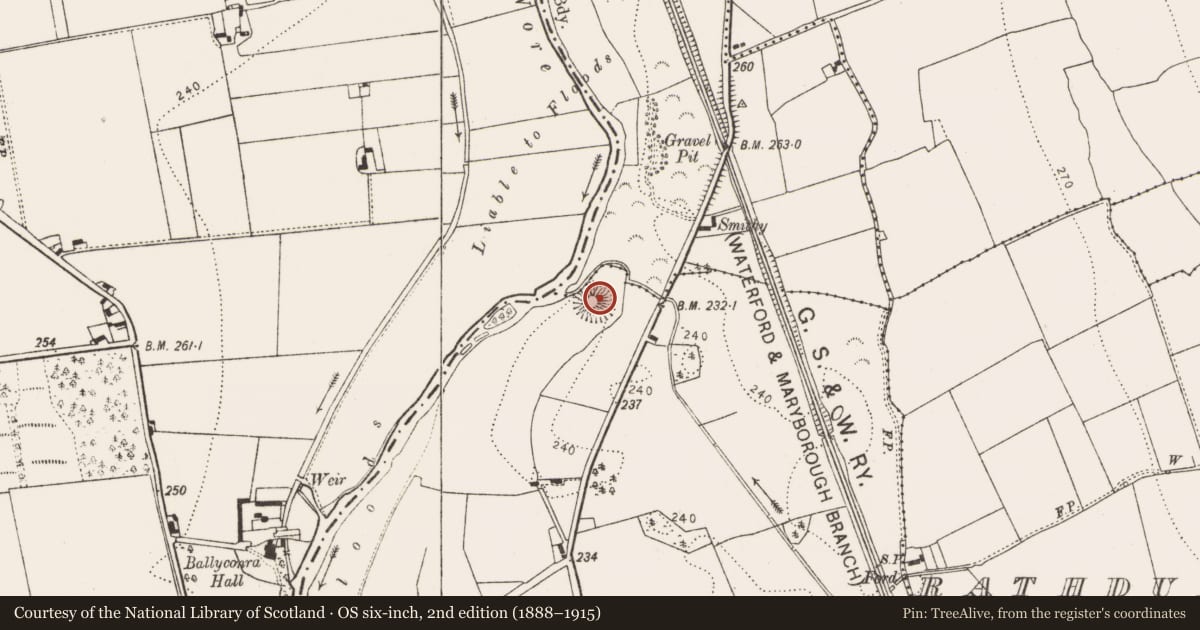 Ordnance Survey six-inch map, 2nd edition (1888–1915) covering the location of Castle - motte, Moatpark, County Kilkenny, with a pin at the register's coordinates