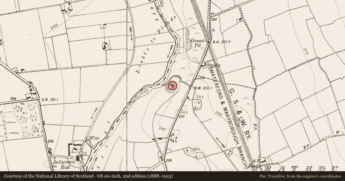 Ordnance Survey six-inch map, 2nd edition (1888–1915) covering the location of Castle - unclassified, Moatpark, County Kilkenny, with a pin at the register's coordinates