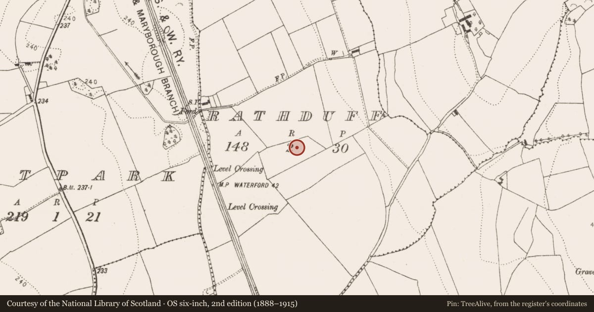 Ordnance Survey six-inch map, 2nd edition (1888–1915) covering the location of Barrow - mound barrow, Rathduff, County Kilkenny, with a pin at the register's coordinates