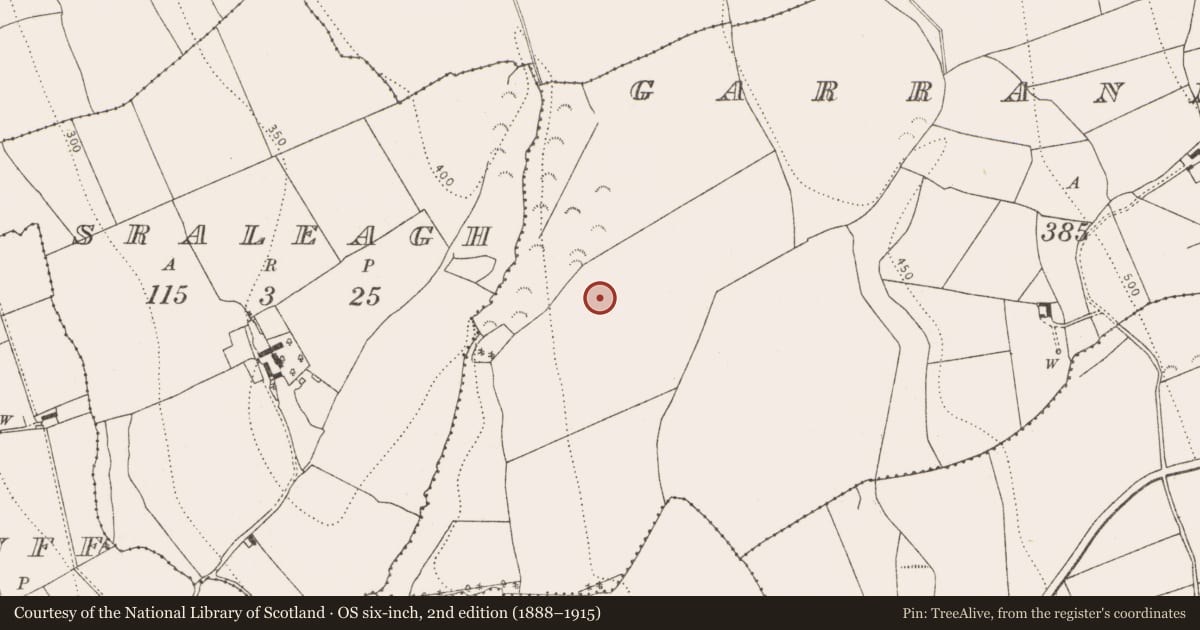 Ordnance Survey six-inch map, 2nd edition (1888–1915) covering the location of Enclosure, Garrannaguilly, County Kilkenny, with a pin at the register's coordinates