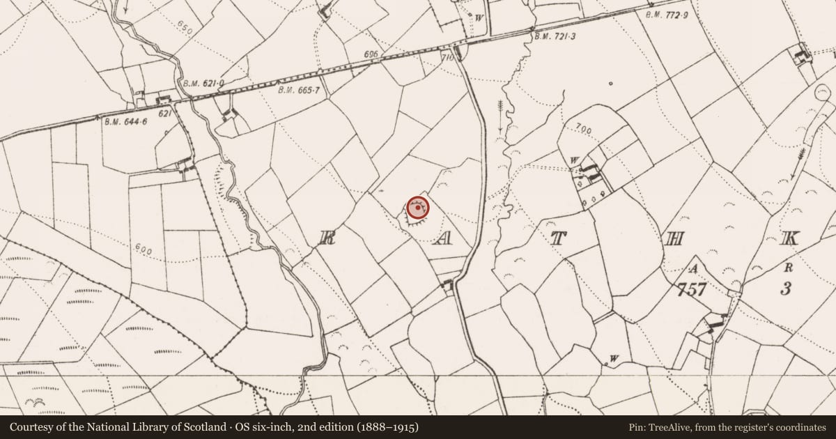 Ordnance Survey six-inch map, 2nd edition (1888–1915) covering the location of Ringfort - unclassified, Rathkyle, County Kilkenny, with a pin at the register's coordinates