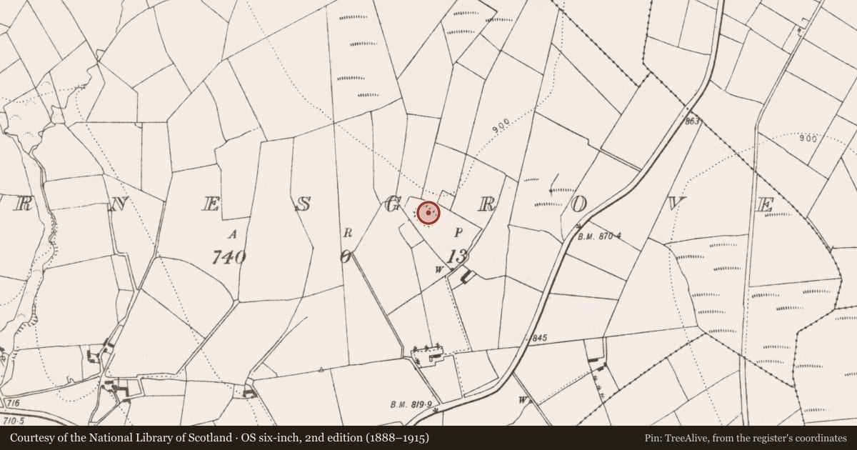 Ordnance Survey six-inch map, 2nd edition (1888–1915) covering the location of Enclosure, Byrnesgrove, County Kilkenny, with a pin at the register's coordinates