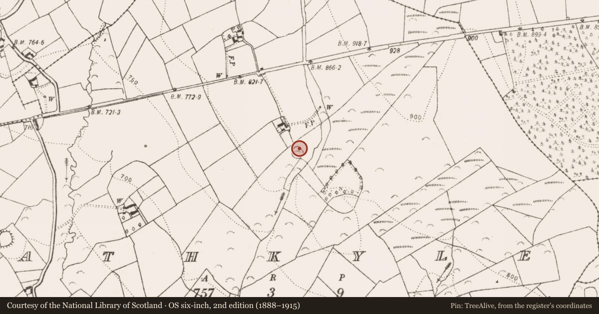 Ordnance Survey six-inch map, 2nd edition (1888–1915) covering the location of Designed landscape - tree-ring, Rathkyle, County Kilkenny, with a pin at the register's coordinates