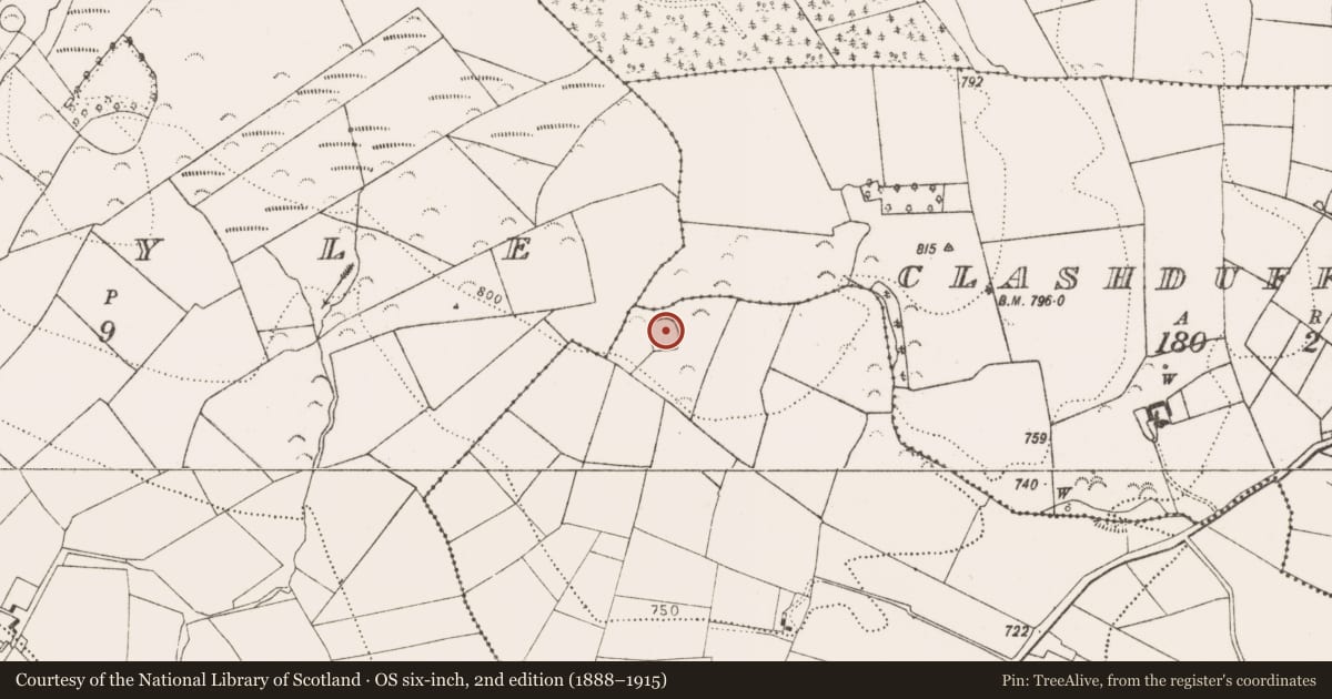 Ordnance Survey six-inch map, 2nd edition (1888–1915) covering the location of Enclosure, Clashduff, County Kilkenny, with a pin at the register's coordinates