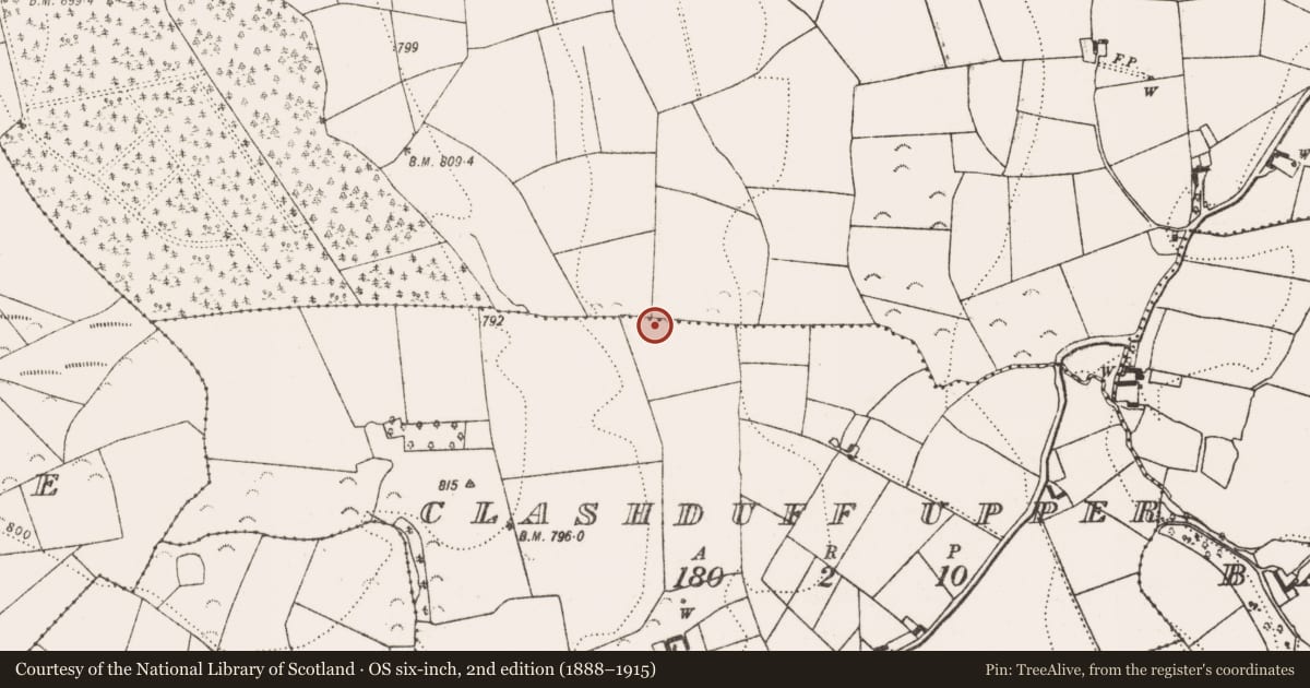 Ordnance Survey six-inch map, 2nd edition (1888–1915) covering the location of Fulacht fia, Clashduff Upper, County Kilkenny, with a pin at the register's coordinates
