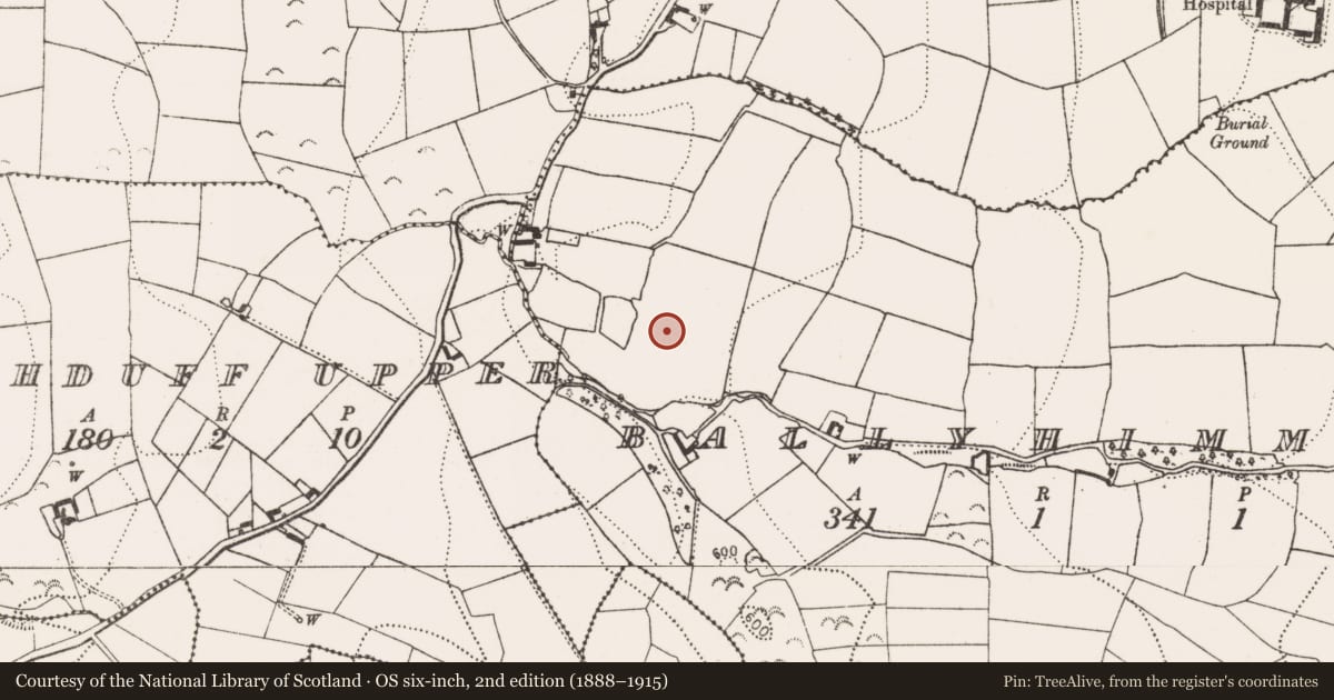 Ordnance Survey six-inch map, 2nd edition (1888–1915) covering the location of Fulacht fia, Ballyhimmin, County Kilkenny, with a pin at the register's coordinates