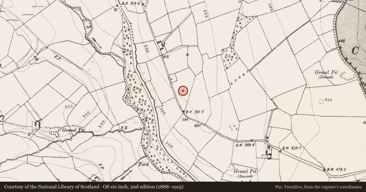 Ordnance Survey six-inch map, 2nd edition (1888–1915) covering the location of Children's burial ground, Kiltown, County Kilkenny, with a pin at the register's coordinates