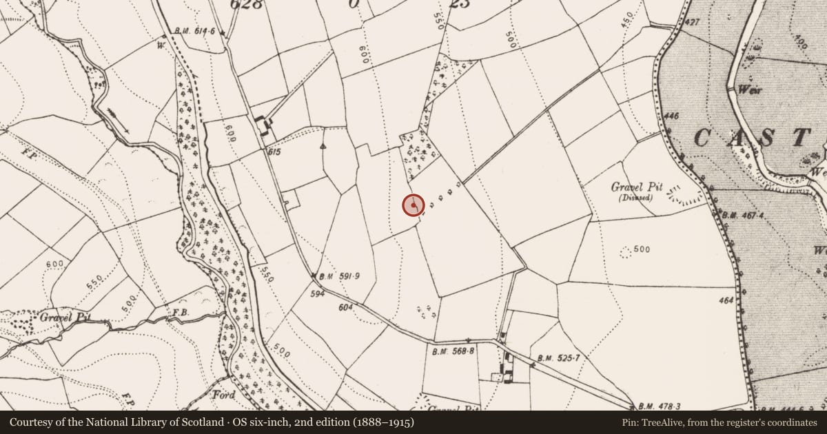 Ordnance Survey six-inch map, 2nd edition (1888–1915) covering the location of House - 16th/17th century, Kiltown, County Kilkenny, with a pin at the register's coordinates
