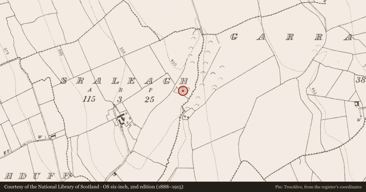 Ordnance Survey six-inch map, 2nd edition (1888–1915) covering the location of Church, Sraleagh, County Kilkenny, with a pin at the register's coordinates