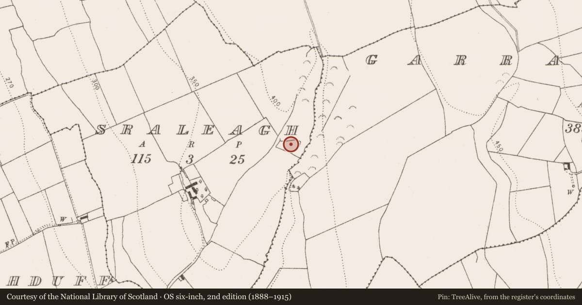 Ordnance Survey six-inch map, 2nd edition (1888–1915) covering the location of Graveyard, Sraleagh, County Kilkenny, with a pin at the register's coordinates
