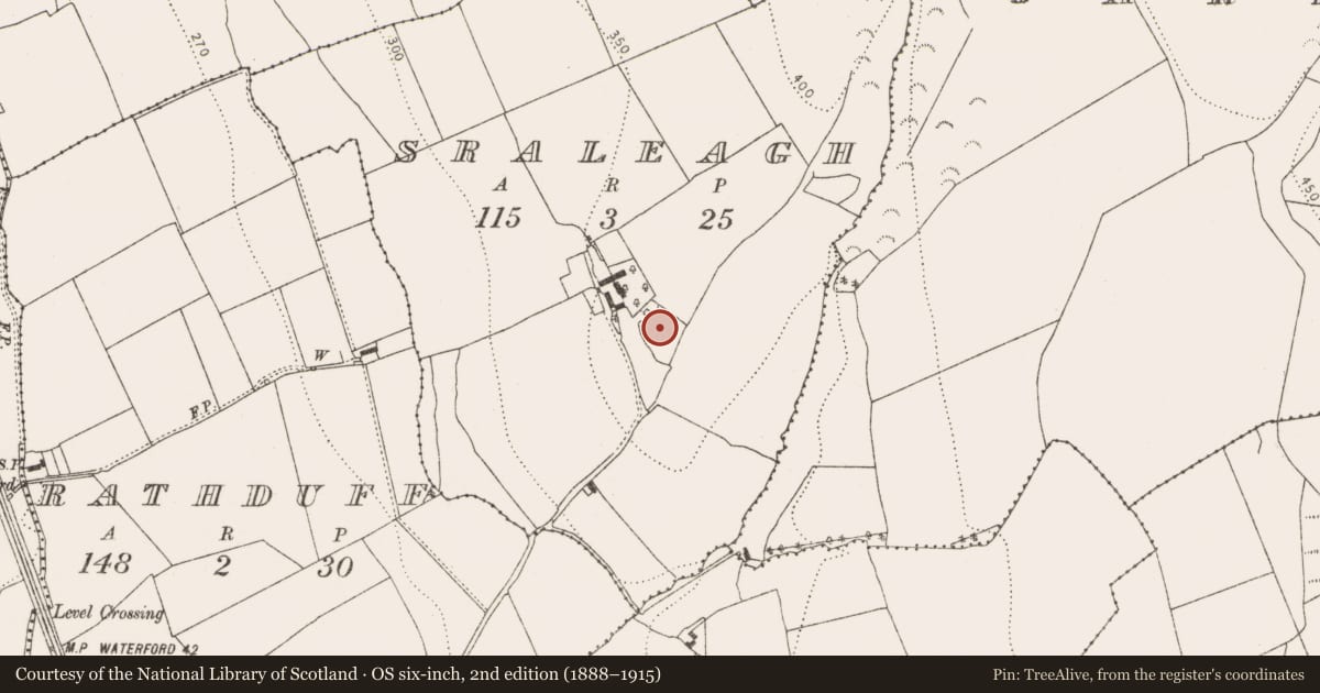Ordnance Survey six-inch map, 2nd edition (1888–1915) covering the location of Enclosure, Sraleagh, County Kilkenny, with a pin at the register's coordinates