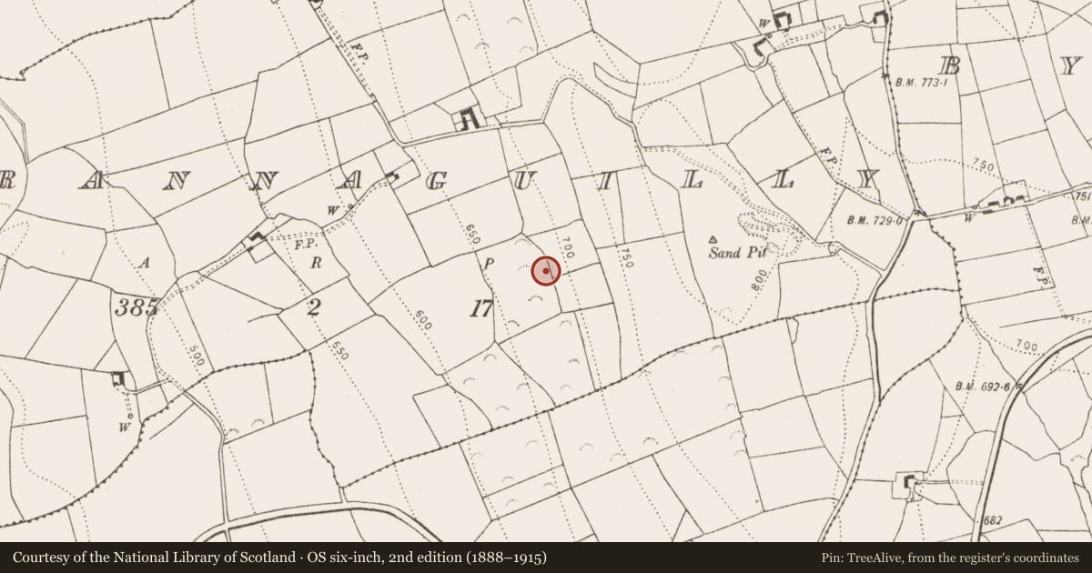 Ordnance Survey six-inch map, 2nd edition (1888–1915) covering the location of Church, Garrannaguilly, County Kilkenny, with a pin at the register's coordinates