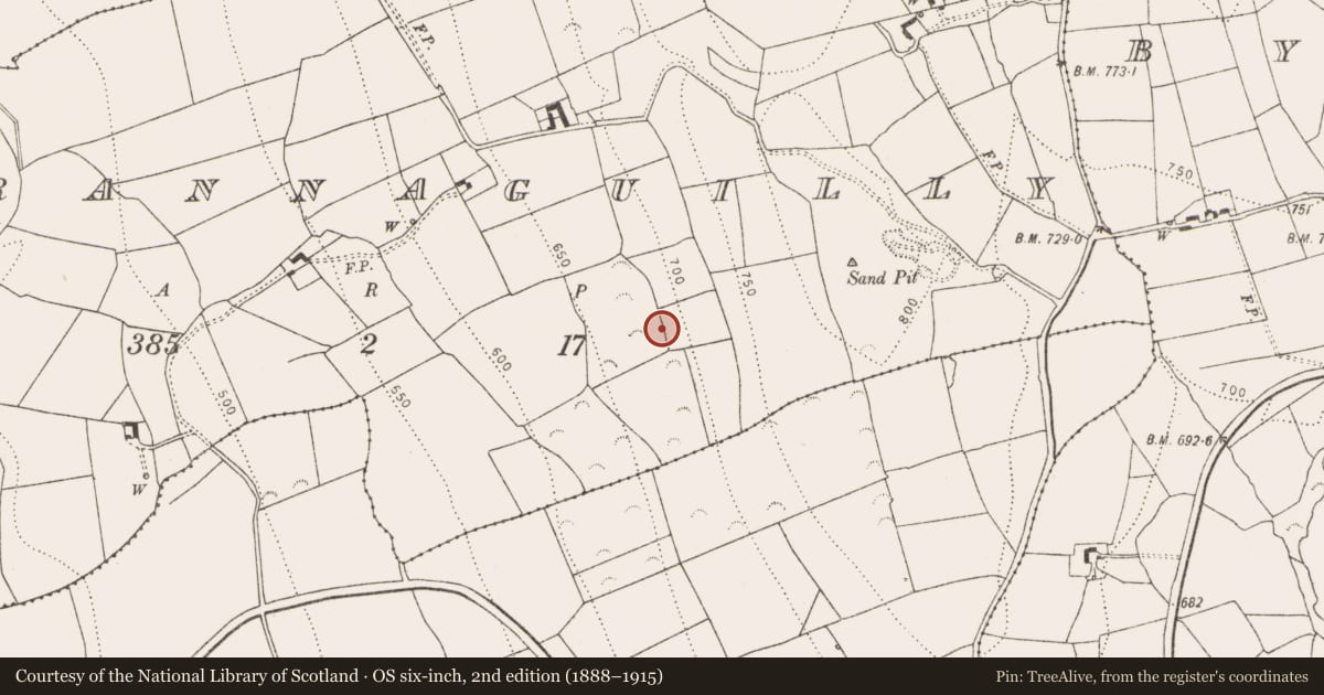 Ordnance Survey six-inch map, 2nd edition (1888–1915) covering the location of Building, Garrannaguilly, County Kilkenny, with a pin at the register's coordinates