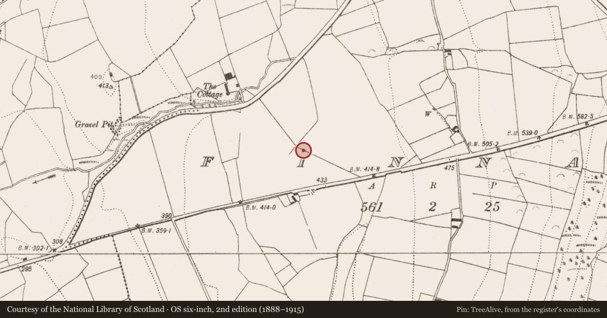 Ordnance Survey six-inch map, 2nd edition (1888–1915) covering the location of Ritual site - holy well, Finnan, County Kilkenny, with a pin at the register's coordinates
