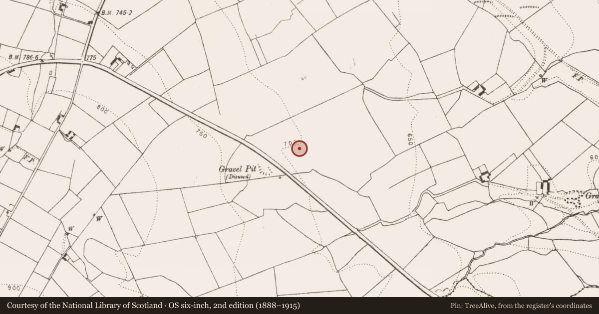 Ordnance Survey six-inch map, 2nd edition (1888–1915) covering the location of Hearth, Glenmagoo Or Firoda Lower, County Kilkenny, with a pin at the register's coordinates