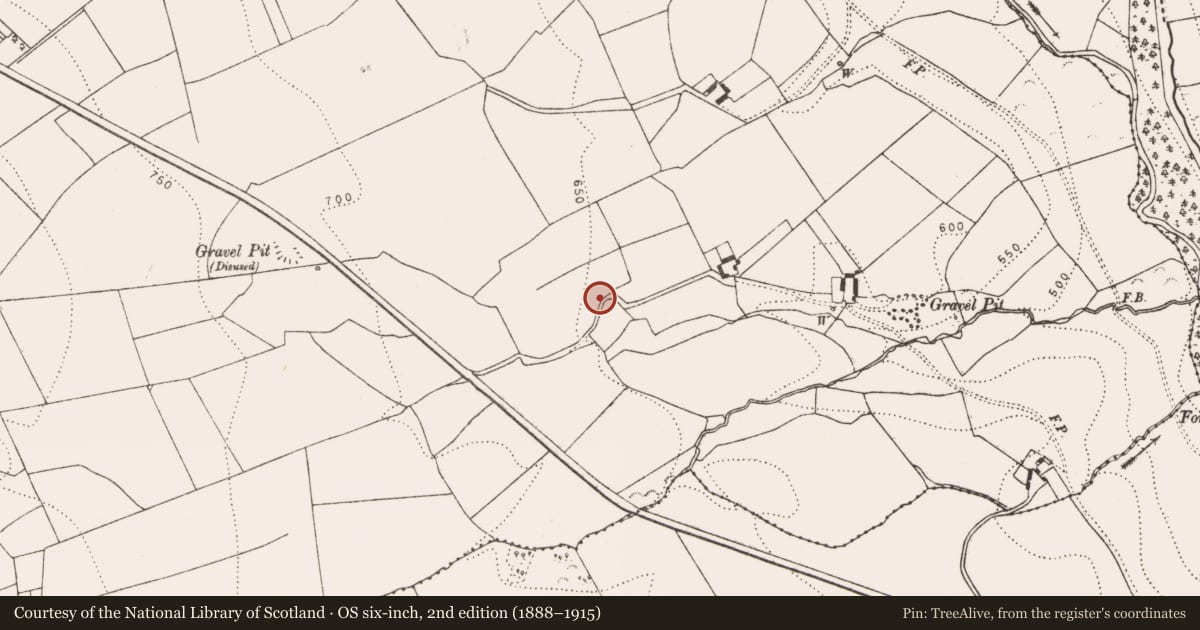 Ordnance Survey six-inch map, 2nd edition (1888–1915) covering the location of Castle - unclassified, Glenmagoo Or Firoda Lower, County Kilkenny, with a pin at the register's coordinates