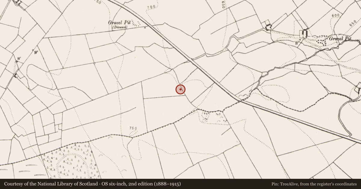 Ordnance Survey six-inch map, 2nd edition (1888–1915) covering the location of Fulacht fia, Glenmagoo Or Firoda Lower, County Kilkenny, with a pin at the register's coordinates