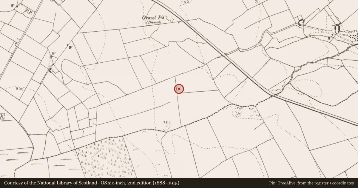 Ordnance Survey six-inch map, 2nd edition (1888–1915) covering the location of Metalworking site, Glenmagoo Or Firoda Lower, County Kilkenny, with a pin at the register's coordinates