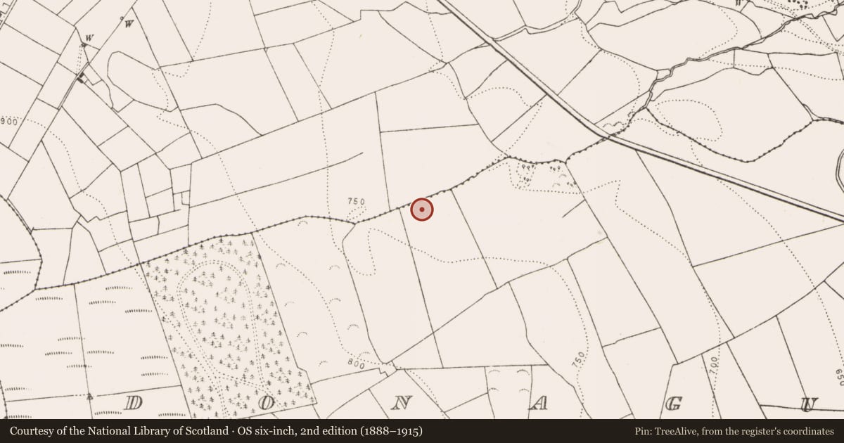 Ordnance Survey six-inch map, 2nd edition (1888–1915) covering the location of Fulacht fia, Donaguile, County Kilkenny, with a pin at the register's coordinates