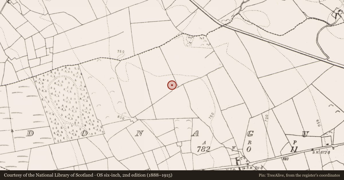 Ordnance Survey six-inch map, 2nd edition (1888–1915) covering the location of Fulacht fia, Donaguile, County Kilkenny, with a pin at the register's coordinates