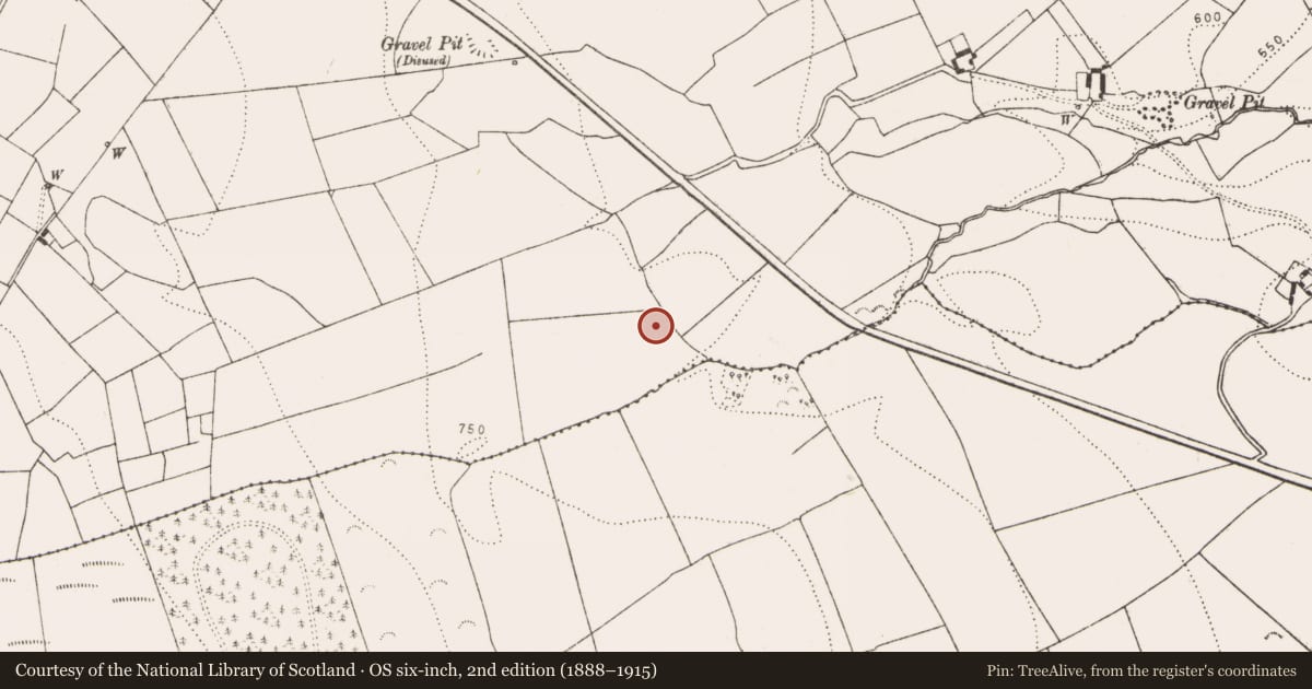 Ordnance Survey six-inch map, 2nd edition (1888–1915) covering the location of Fulacht fia, Glenmagoo Or Firoda Lower, County Kilkenny, with a pin at the register's coordinates