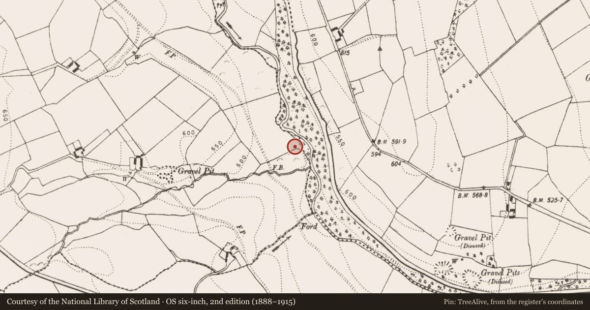 Ordnance Survey six-inch map, 2nd edition (1888–1915) covering the location of Metalworking site, Glenmagoo Or Firoda Lower, County Kilkenny, with a pin at the register's coordinates