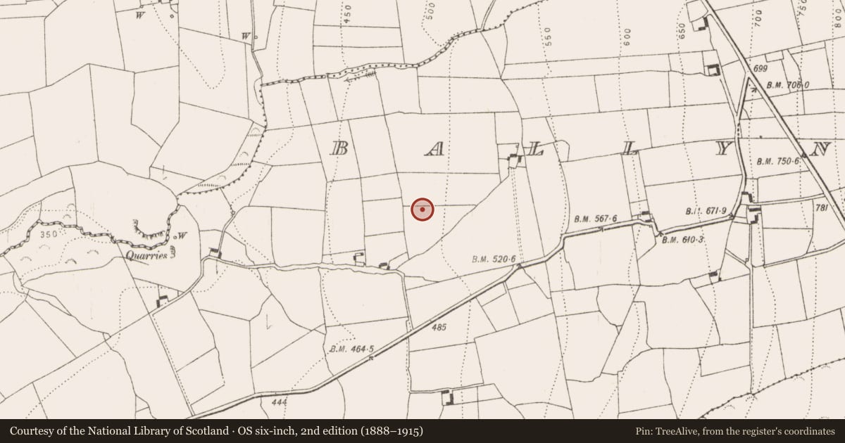 Ordnance Survey six-inch map, 2nd edition (1888–1915) covering the location of Castle - unclassified, Ballyoskill, County Kilkenny, with a pin at the register's coordinates