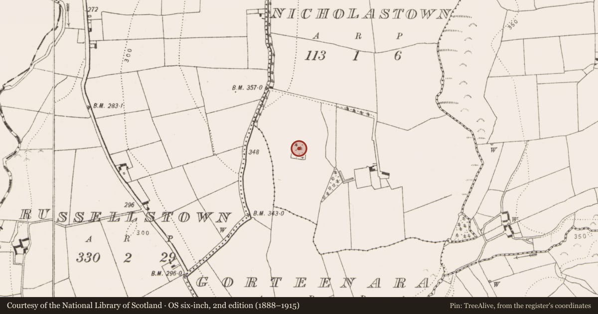 Ordnance Survey six-inch map, 2nd edition (1888–1915) covering the location of Enclosure, Nicholastown, County Kilkenny, with a pin at the register's coordinates