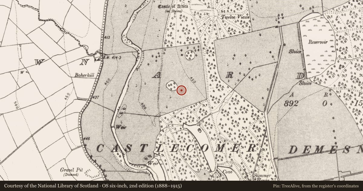 Ordnance Survey six-inch map, 2nd edition (1888–1915) covering the location of Cist, Ardra, County Kilkenny, with a pin at the register's coordinates