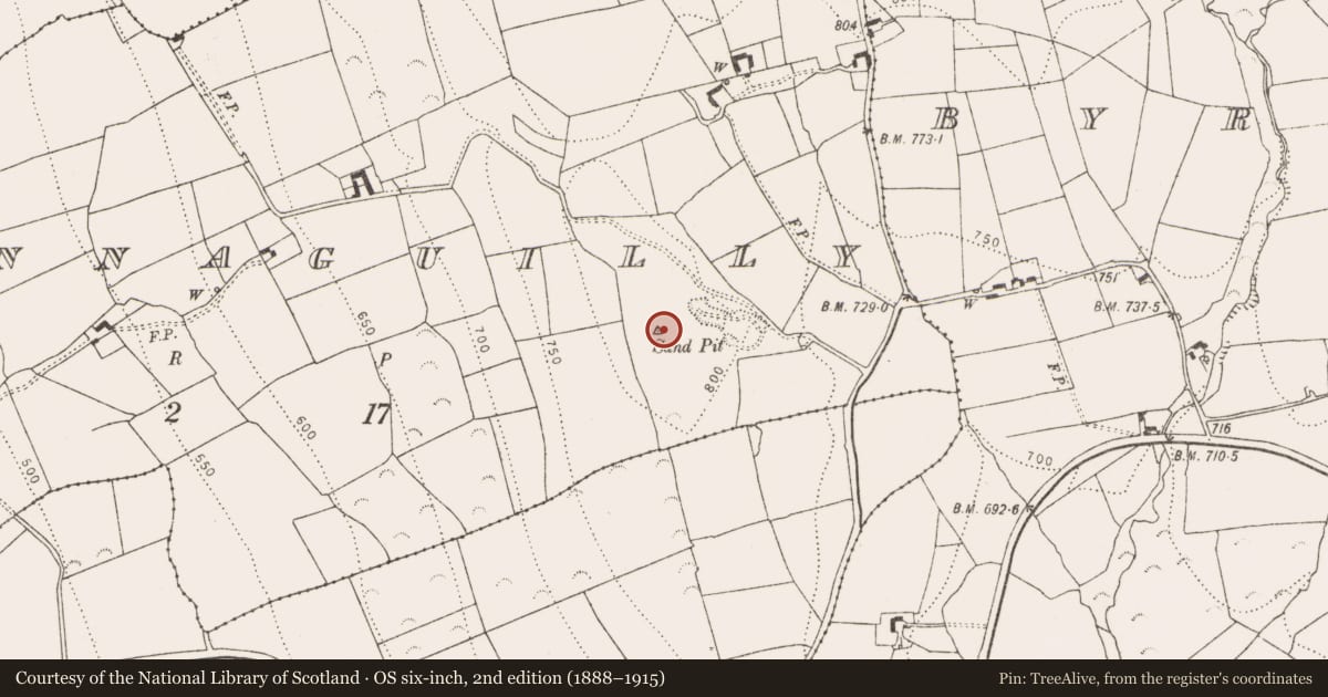Ordnance Survey six-inch map, 2nd edition (1888–1915) covering the location of Cist, Garrannaguilly, County Kilkenny, with a pin at the register's coordinates