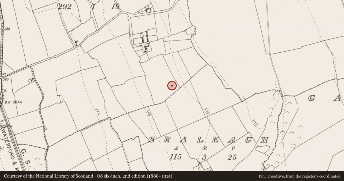 Ordnance Survey six-inch map, 2nd edition (1888–1915) covering the location of Enclosure, Tinnalintan, County Kilkenny, with a pin at the register's coordinates