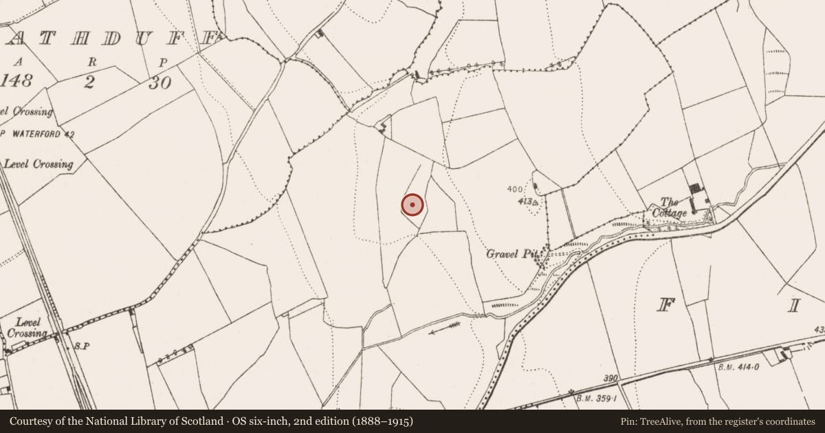 Ordnance Survey six-inch map, 2nd edition (1888–1915) covering the location of Concentric enclosure, Ballyragget, County Kilkenny, with a pin at the register's coordinates