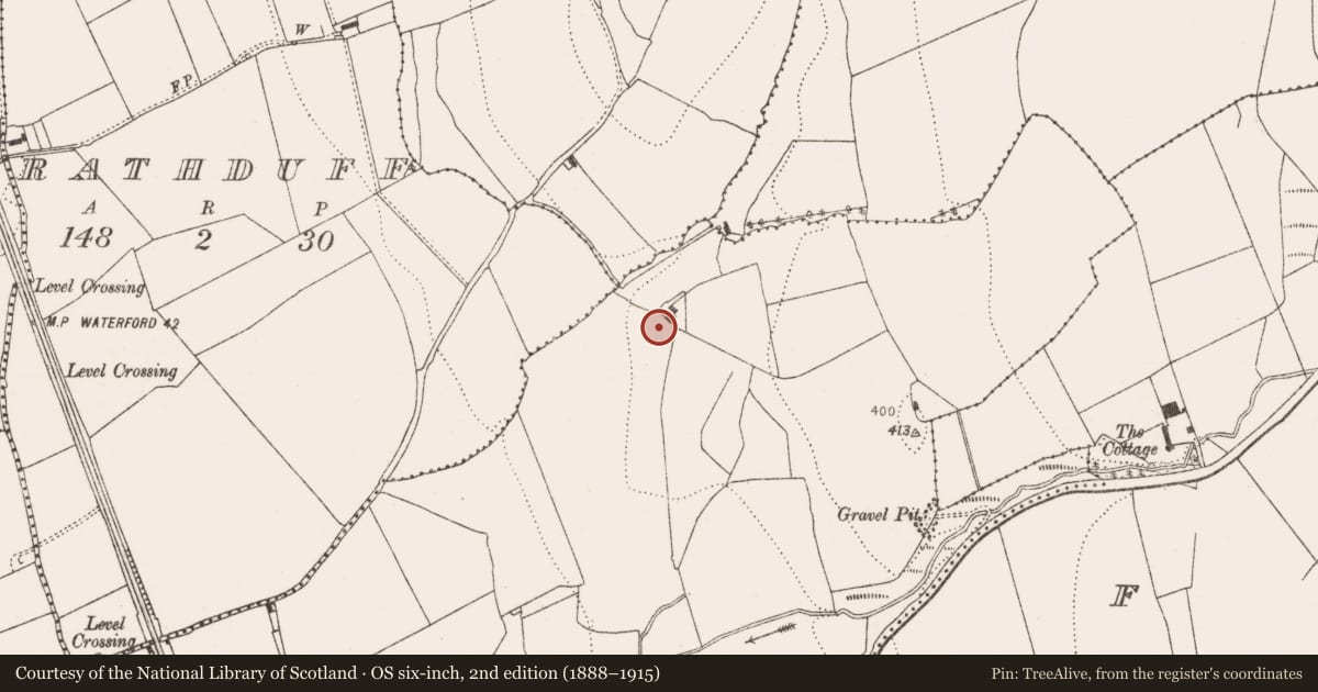 Ordnance Survey six-inch map, 2nd edition (1888–1915) covering the location of Enclosure, Ballyragget, County Kilkenny, with a pin at the register's coordinates