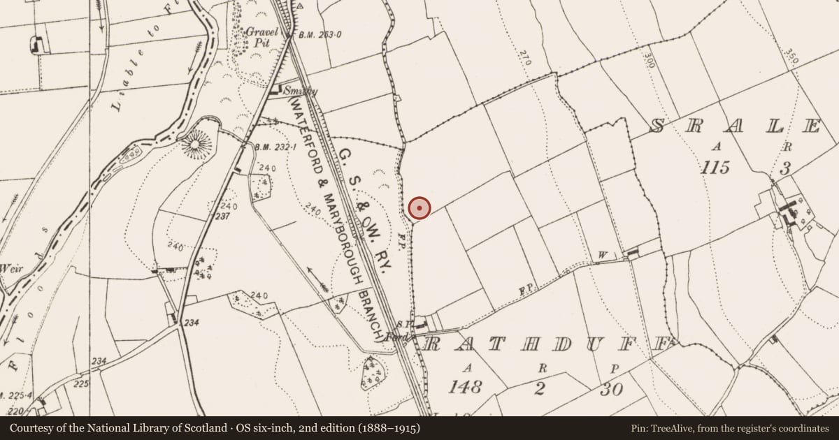 Ordnance Survey six-inch map, 2nd edition (1888–1915) covering the location of Enclosure, Rathduff, County Kilkenny, with a pin at the register's coordinates