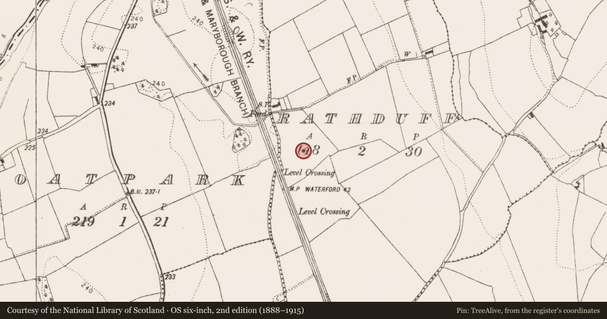 Ordnance Survey six-inch map, 2nd edition (1888–1915) covering the location of Enclosure, Rathduff, County Kilkenny, with a pin at the register's coordinates