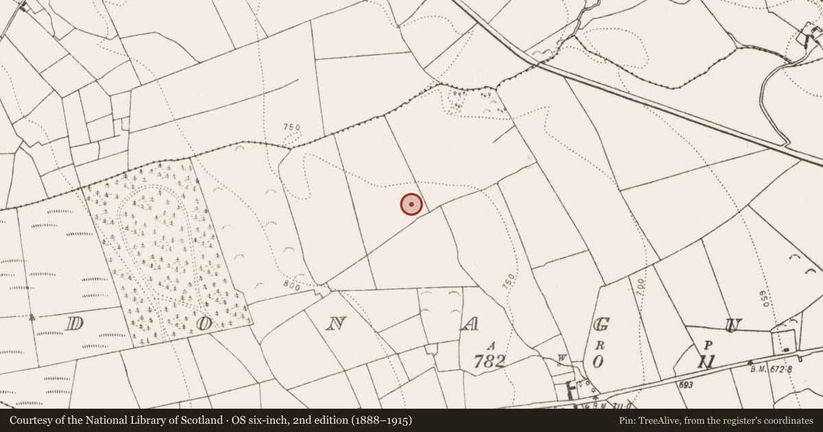 Ordnance Survey six-inch map, 2nd edition (1888–1915) covering the location of Fulacht fia, Donaguile, County Kilkenny, with a pin at the register's coordinates