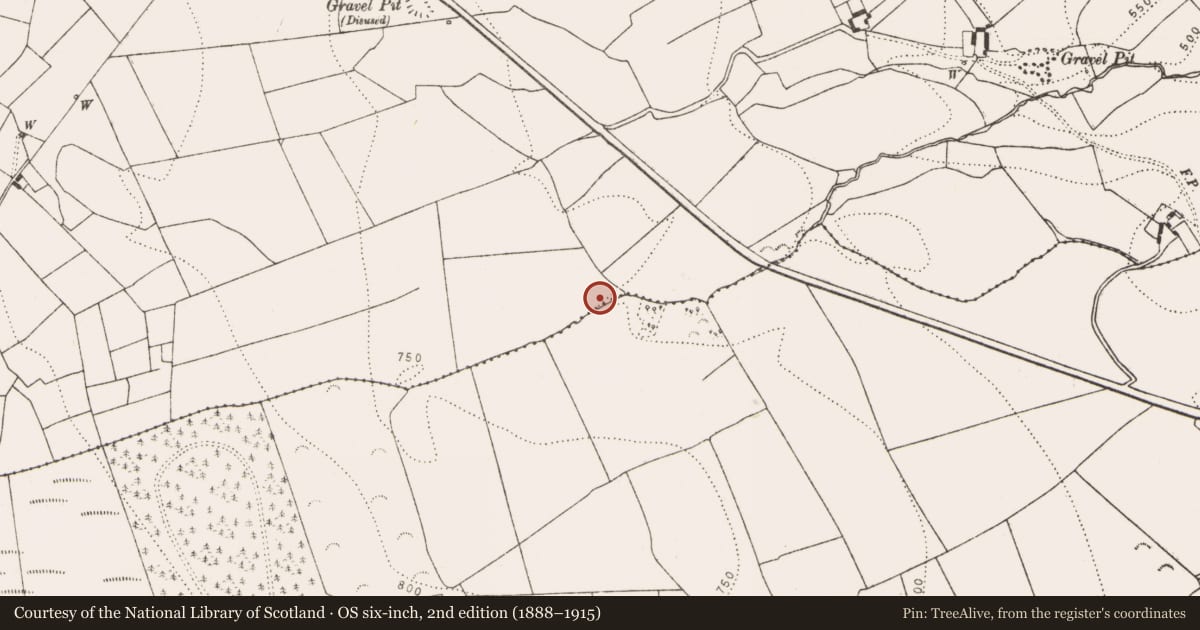 Ordnance Survey six-inch map, 2nd edition (1888–1915) covering the location of Fulacht fia, Glenmagoo Or Firoda Lower, County Kilkenny, with a pin at the register's coordinates