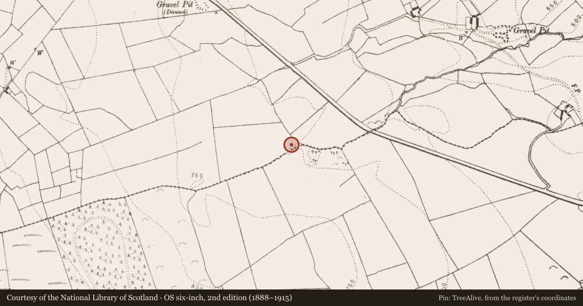 Ordnance Survey six-inch map, 2nd edition (1888–1915) covering the location of Fulacht fia, Glenmagoo Or Firoda Lower, County Kilkenny, with a pin at the register's coordinates
