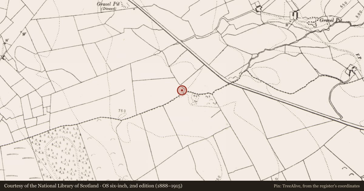 Ordnance Survey six-inch map, 2nd edition (1888–1915) covering the location of Fulacht fia, Glenmagoo Or Firoda Lower, County Kilkenny, with a pin at the register's coordinates