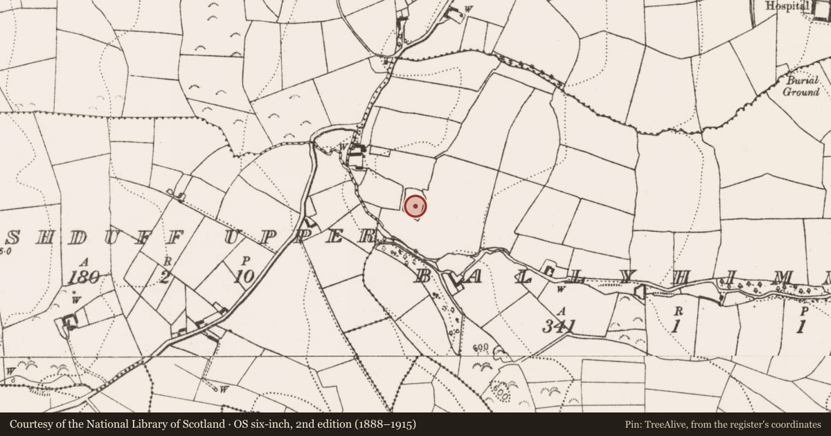 Ordnance Survey six-inch map, 2nd edition (1888–1915) covering the location of Moated site, Ballyhimmin, County Kilkenny, with a pin at the register's coordinates