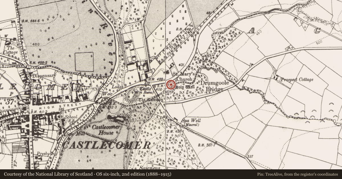 Ordnance Survey six-inch map, 2nd edition (1888–1915) covering the location of Ritual site - holy well, Drumgoole, County Kilkenny, with a pin at the register's coordinates