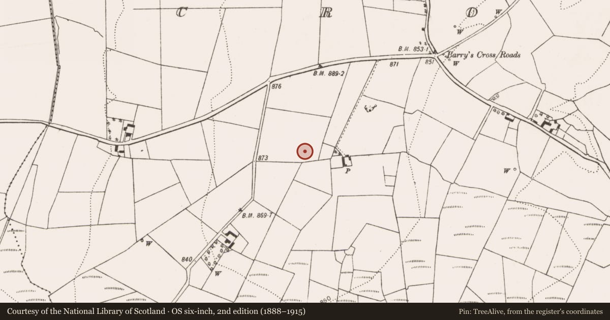 Ordnance Survey six-inch map, 2nd edition (1888–1915) covering the location of Fulacht fia, Croghtenclogh, County Kilkenny, with a pin at the register's coordinates